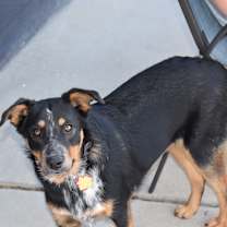 Thumbnail photo of Junie #2