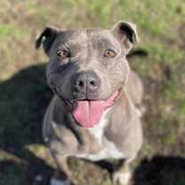 Thumbnail photo of Winnie #1