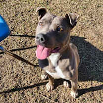 Thumbnail photo of Winnie #2