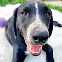 Thumbnail photo of Abbott #1