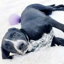 Thumbnail photo of Abbott #2