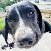 Thumbnail photo of Abbott #4