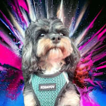 Thumbnail photo of Tensley & Teddy #2