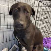 Thumbnail photo of Emory #2