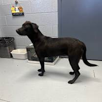 Thumbnail photo of Emory #3