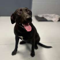 Thumbnail photo of Emory #4