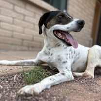 Thumbnail photo of Dale #3