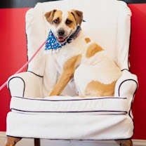 Thumbnail photo of Daisy #2