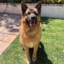 Thumbnail photo of Luna #1