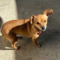 Thumbnail photo of Valerie #1