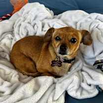 Thumbnail photo of Valerie #3