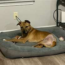 Thumbnail photo of Mac #2