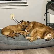 Thumbnail photo of Mac #3