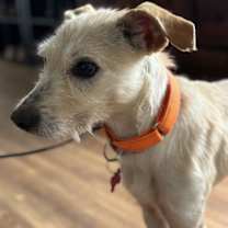 Thumbnail photo of Frida #2