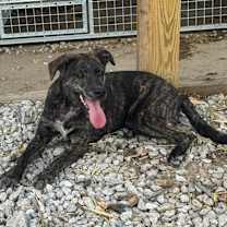 Thumbnail photo of Zena #1