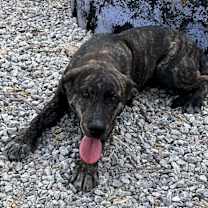 Thumbnail photo of Zena #2