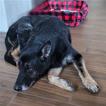 Thumbnail photo of Big Buddy #2