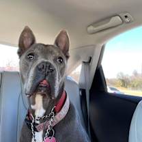 Thumbnail photo of Nyla #3