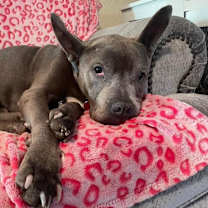 Thumbnail photo of Nyla #4