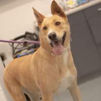 Thumbnail photo of Kenna #2