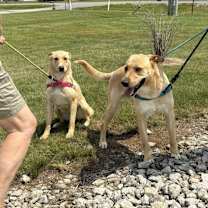 Thumbnail photo of Shane #3