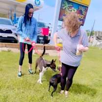 Thumbnail photo of Willow #2