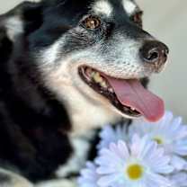 Thumbnail photo of Jackie #2