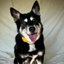 Thumbnail photo of Jackie #3