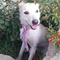 Thumbnail photo of Frida #4