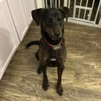 Thumbnail photo of Riley #4