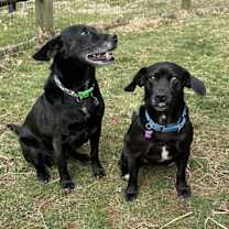 Thumbnail photo of Audrey & Autumn #1