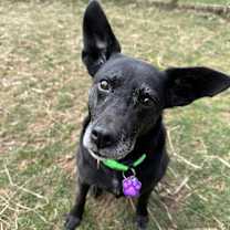 Thumbnail photo of Audrey & Autumn #2