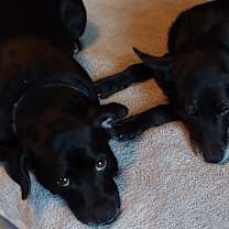 Thumbnail photo of Audrey & Autumn #4