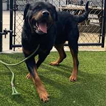 Thumbnail photo of TREY 2 #1