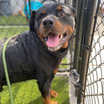 Thumbnail photo of TREY 2 #2