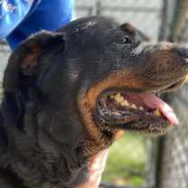 Thumbnail photo of TREY 2 #3