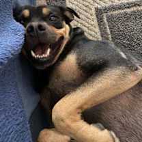 Thumbnail photo of Bingo #2