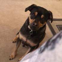 Thumbnail photo of Bingo #3