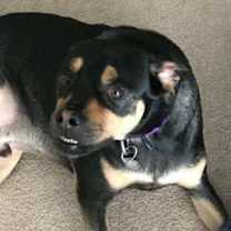 Thumbnail photo of Bingo #4