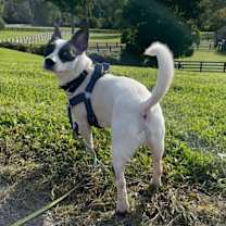 Thumbnail photo of Hopper #2