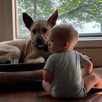 Thumbnail photo of Milli*$100 fee ALL DOGS #1