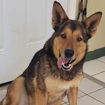 Thumbnail photo of RUBY #1