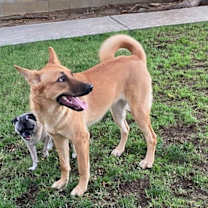 Thumbnail photo of Leota #2