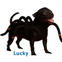 Thumbnail photo of Lucky #3