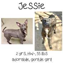Thumbnail photo of Jessie #1