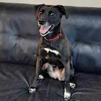 Thumbnail photo of Fiona #3