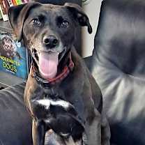 Thumbnail photo of Fiona #4