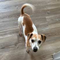 Thumbnail photo of Lance #2