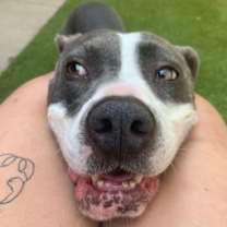 Thumbnail photo of Ronnie #3
