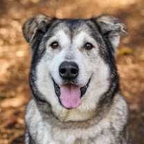 Thumbnail photo of NICOLE #1